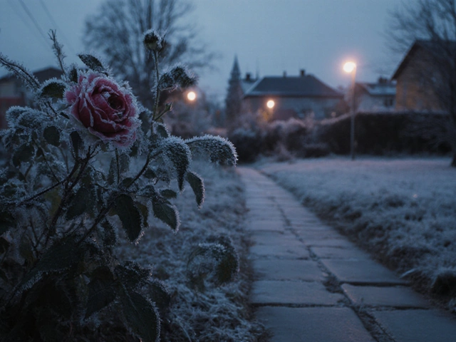Как растения переживают заморозки: проверенные методы защиты