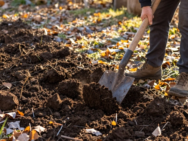 Чем обеззаразить землю на огороде осенью: проверенные способы без химии