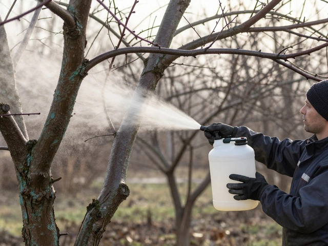 Можно ли обрабатывать железным купоросом при минусовой температуре?