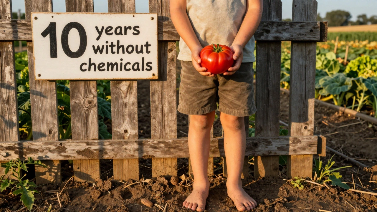 Ребенок держит спелый помидор на фоне сада, где 10 лет не было химических удобрений.