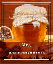 Мед для иммунитета: популярные рецепты с фото
